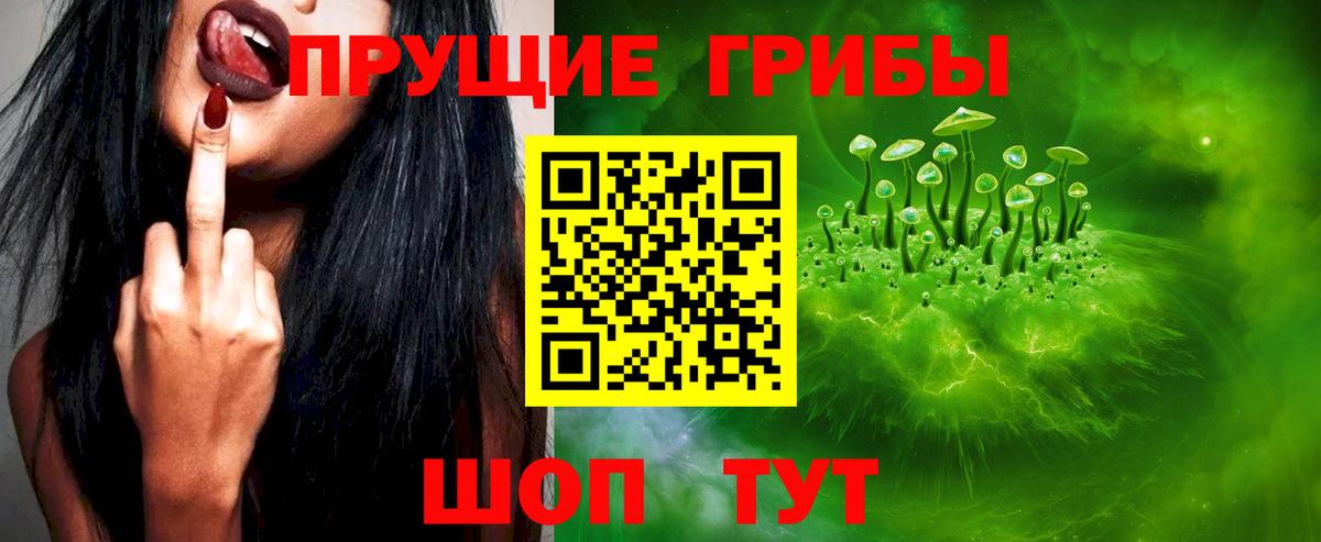 Псилоцибиновые грибы MAGIC MUSHROOMS  Вход с VPN  Орехово-Зуево  Псилоцибиновые грибы Psilocybe 